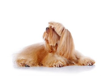 Similar image 5594844