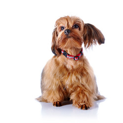 Similar image 5594848