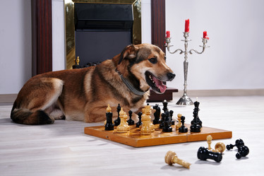 Similar image 5594851