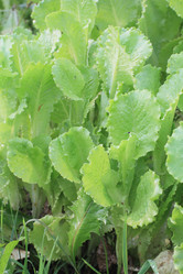 Similar image 5594856