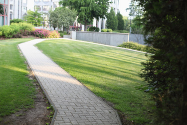 Similar image 5594859