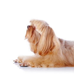 Similar image 5594866