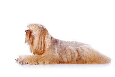 Similar image 5594867