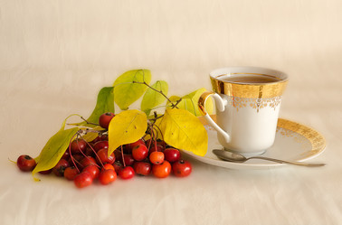 Similar image 5594880