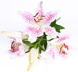 Similar image 5594904