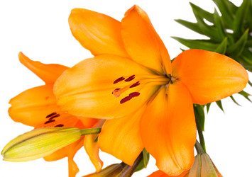 Similar image 5594905