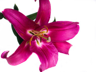 Similar image 5594908