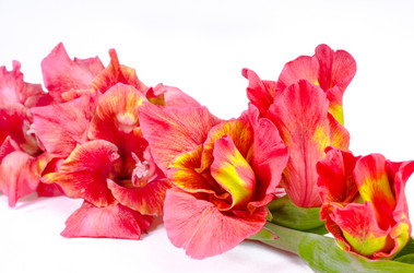 Similar image 5594912