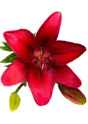 Similar image 5594914