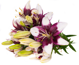 Similar image 5594915