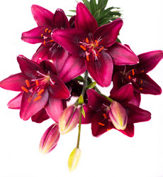 Similar image 5594917