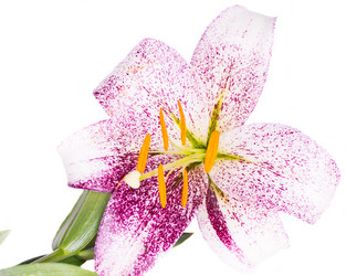 Similar image 5594919