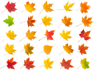 Similar image 5595110