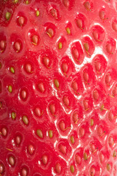 Similar image 5595112