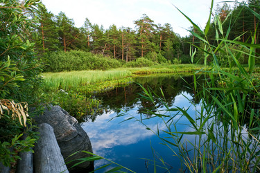 Similar image 5595124