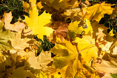 Similar image 5595135