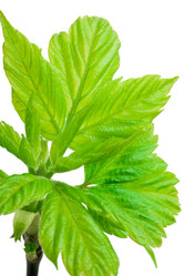 Similar image 5595142