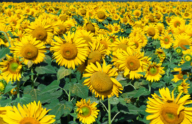 Similar image 5595151