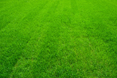 Similar image 5595180