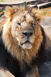 Similar image 5595184