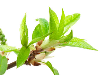 Similar image 5595185