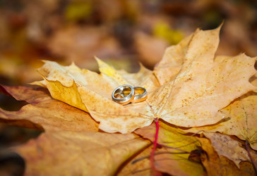 Similar image 5595196