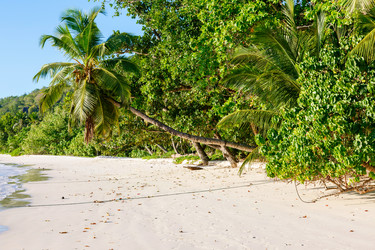 Similar image 5595210