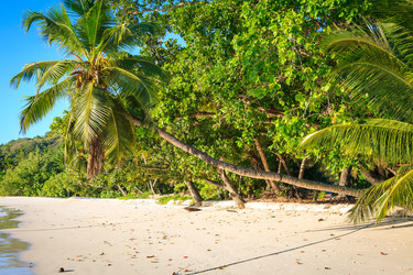 Similar image 5595221