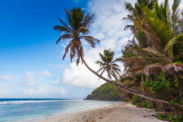 Similar image 5595236