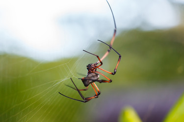 Similar image 5595239