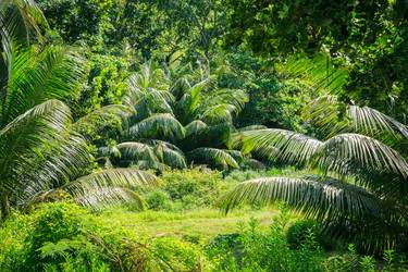 Similar image 5595273