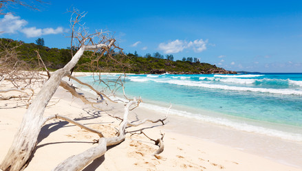 Similar image 5595274