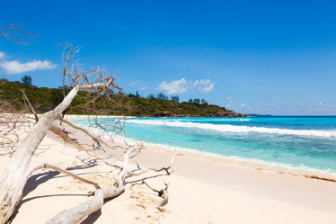 Similar image 5595275