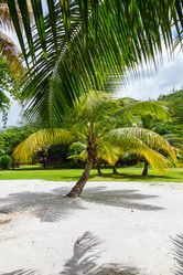 Similar image 5595276