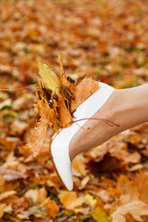 Similar image 5595282