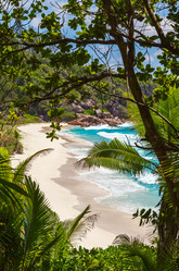 Similar image 5595297