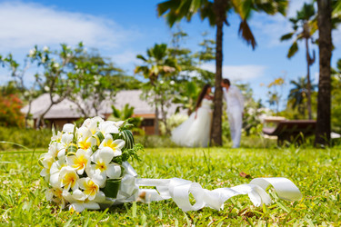 Similar image 5595303