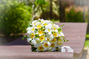 Similar image 5595305