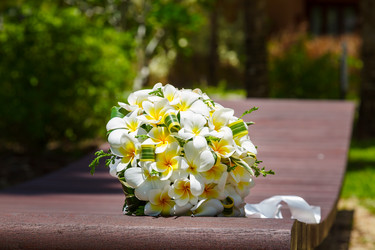 Similar image 5595306