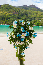 Similar image 5595308