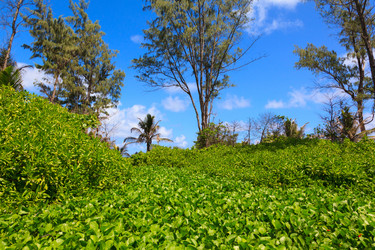 Similar image 5595358