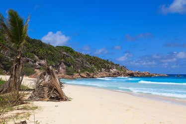 Similar image 5595359