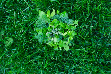 Similar image 5595550