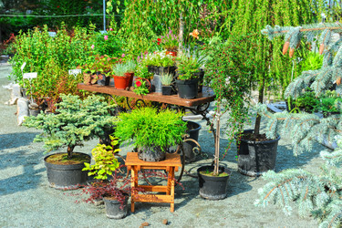 Similar image 5595686