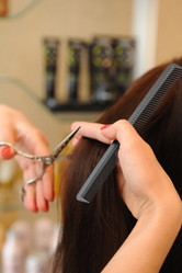 Similar image 5595688