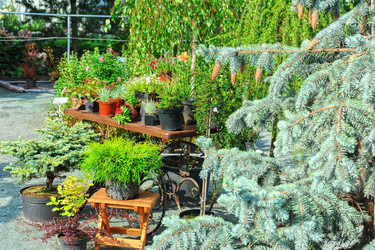 Similar image 5595690