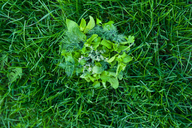 Similar image 5595696