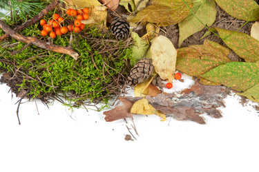 Similar image 5595708