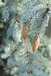 Similar image 5595752