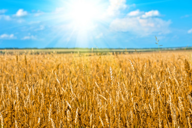 Similar image 5595774